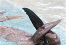 New England Aquarium in Boston